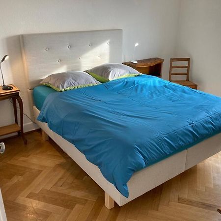 Joli 2 Pieces Dernier Etage, Lausanne Centre Luaran gambar