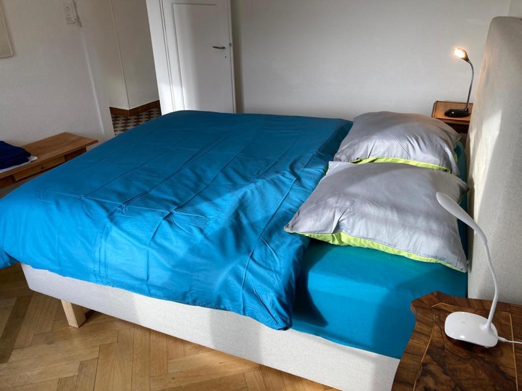Joli 2 Pieces Dernier Etage, Lausanne Centre Luaran gambar