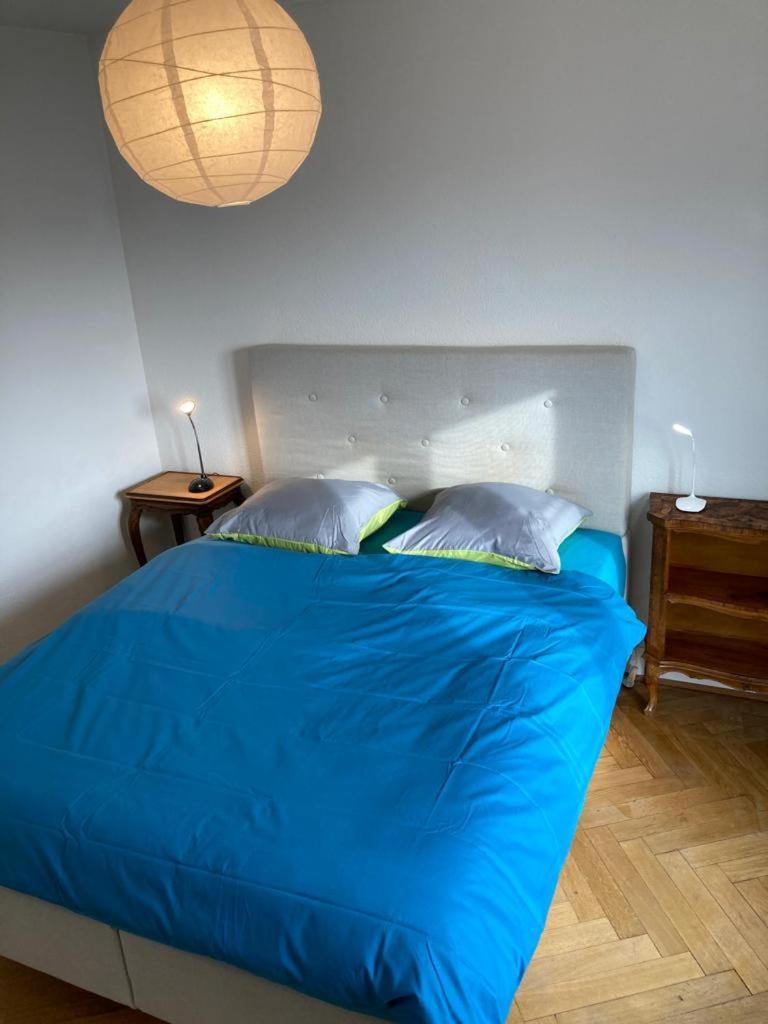 Joli 2 Pieces Dernier Etage, Lausanne Centre Luaran gambar