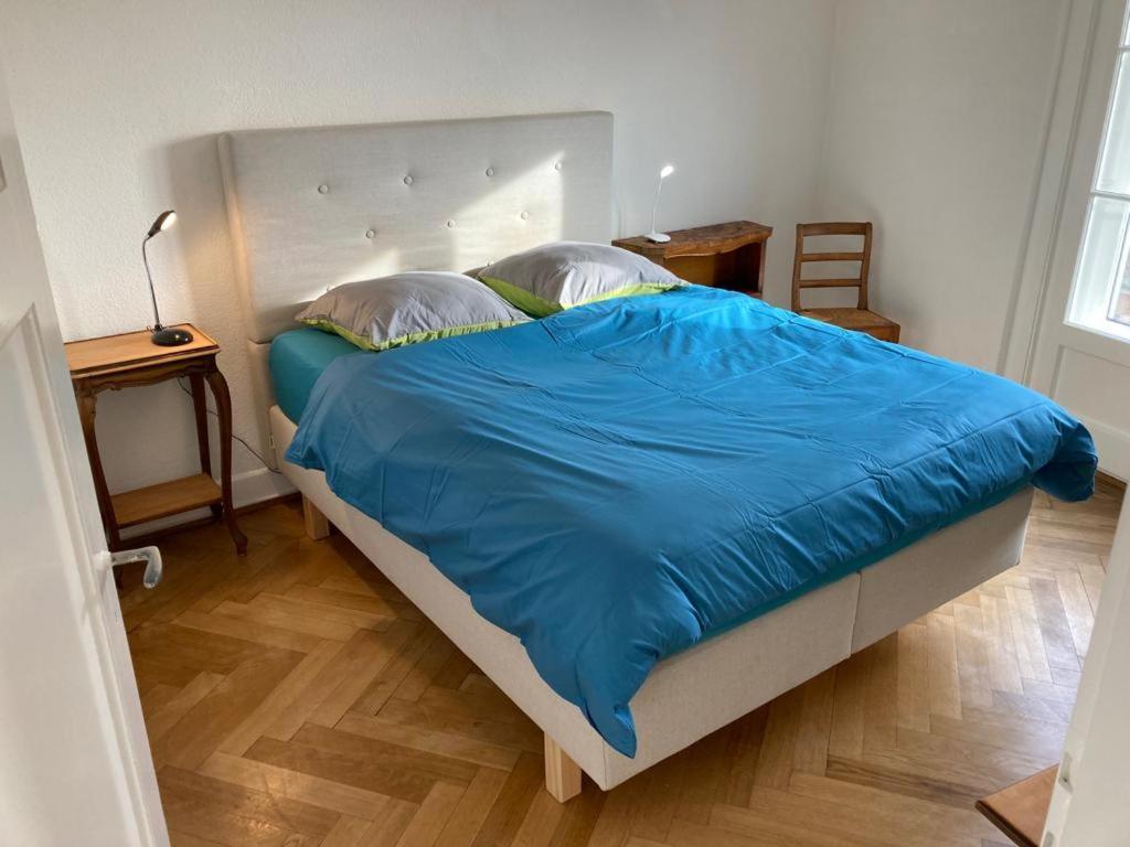 Joli 2 Pieces Dernier Etage, Lausanne Centre Luaran gambar