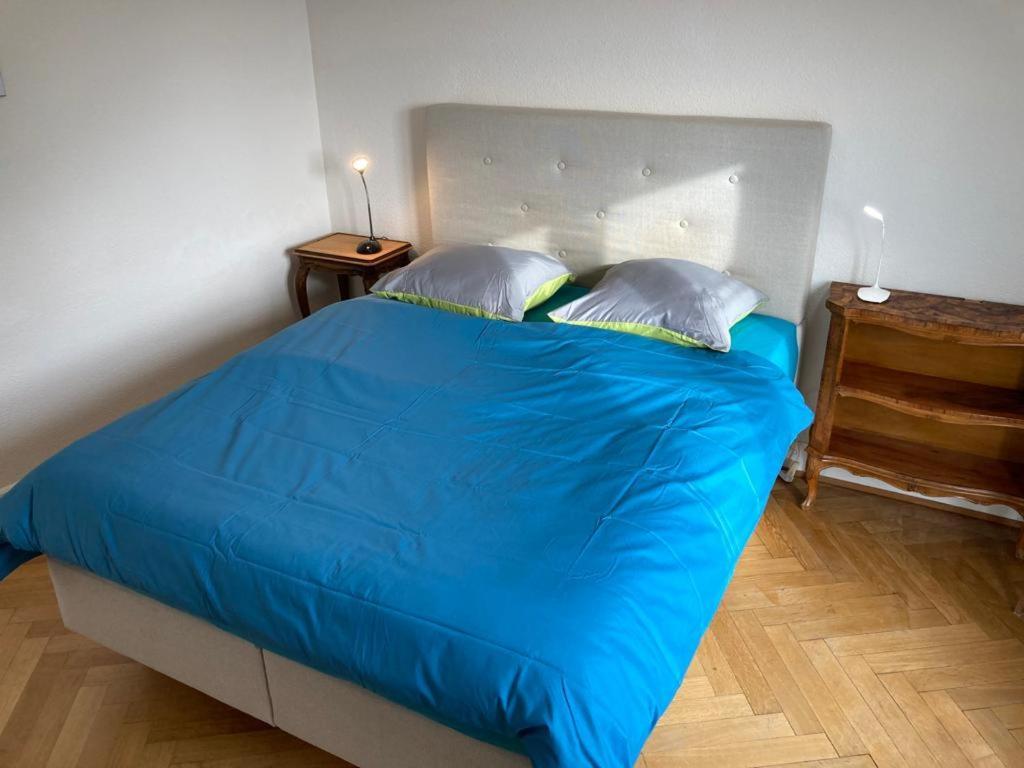 Joli 2 Pieces Dernier Etage, Lausanne Centre Luaran gambar